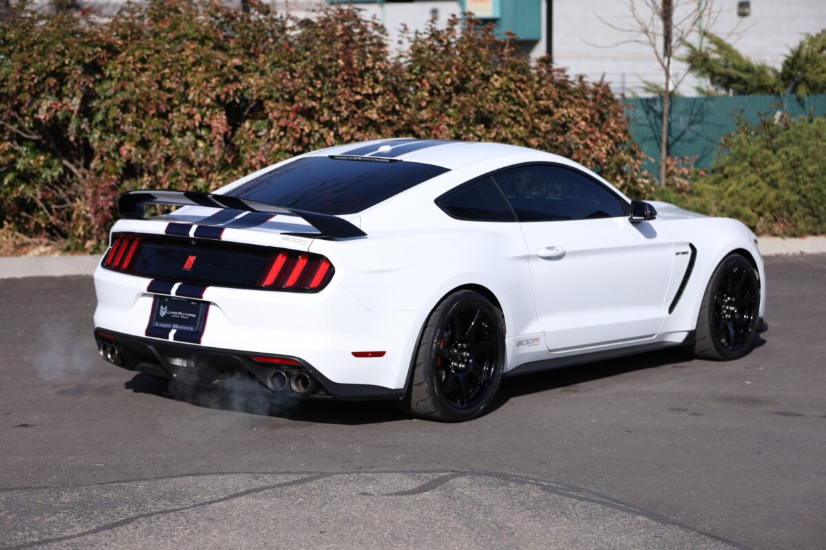 2019 800R Twin Turbo Shelby GT350R #17 - Fathouse Performance