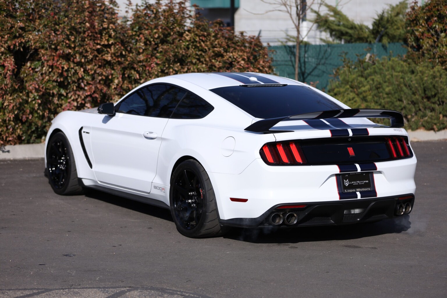 2019 800R Twin Turbo Shelby GT350R #17 - Fathouse Performance